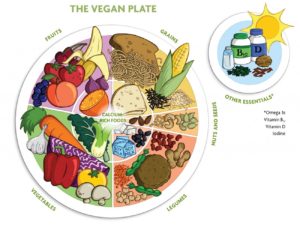 The vegan plate