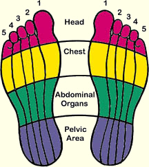 reflexology feet